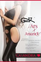 Gatta - Heltäckande glansig strip panty Gatta - Heltäckande glansig strip panty