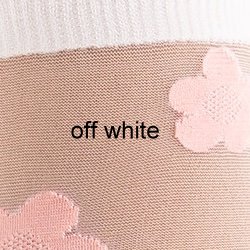 Farbe_off-white_G1159